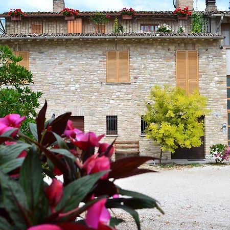 Camere I Monelli Assisi Exterior foto