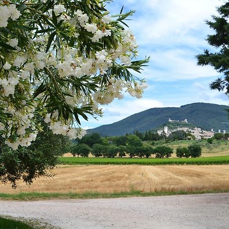 Camere I Monelli Assisi Exterior foto
