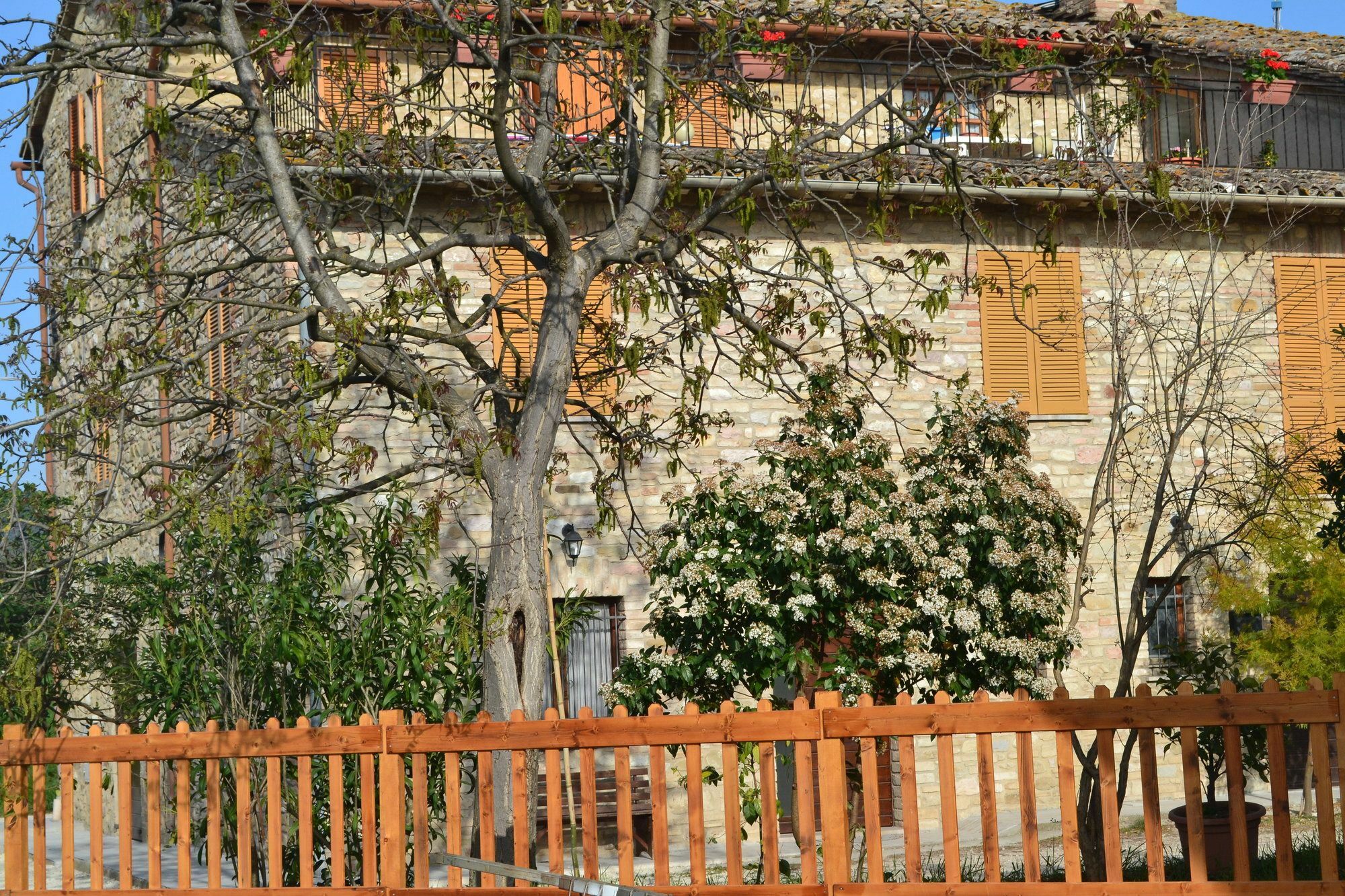 Camere I Monelli Assisi Exterior foto